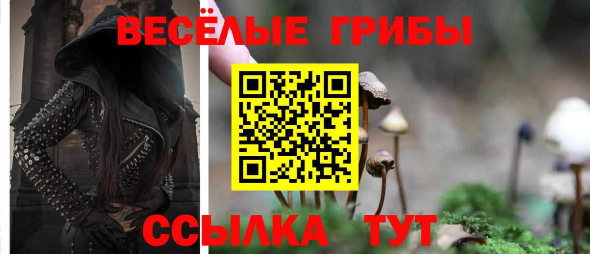Кудрово  цена наркотик  Вход с VPN  Псилоцибиновые грибы MAGIC MUSHROOMS 